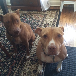 Fundraising Page: Michael V Roth